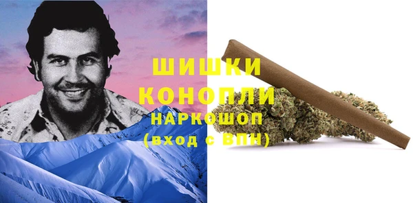 СК Новокубанск