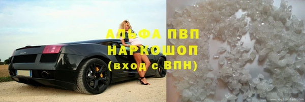 СК Новокубанск