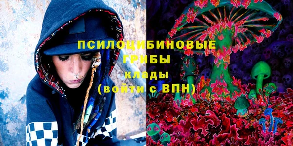 СК Новокубанск