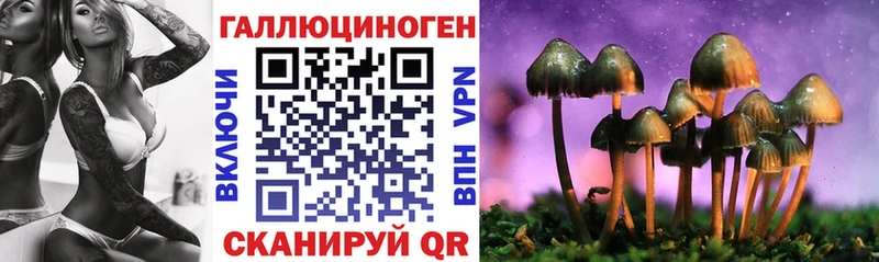 купить закладку  Андреаполь  Галлюциногенные грибы ЛСД 